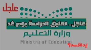 خبر هام.. تعليق الدراسة غدًا الثلاثاء في جامعة جدة و20 مدرسة بسبب الأحوال الجوية